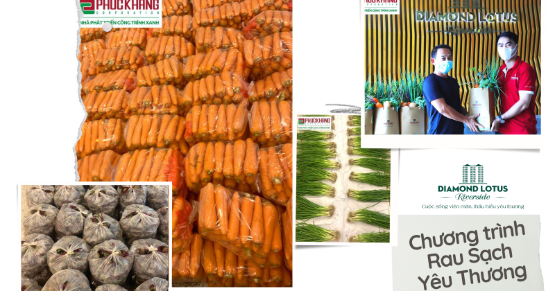 5 Cách làm SEO chuẩn