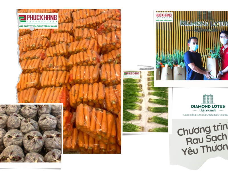 5 Cách làm SEO chuẩn